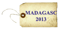 madagascar 2013
