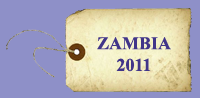 zambia 2011