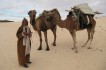 Ali met de kamelen