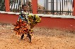 benin