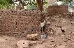 benin