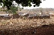 benin