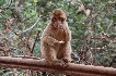 marokko