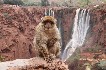 marokko