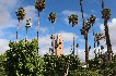 marocco