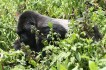 vulcanoes_national_park