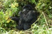 vulcanoes_national_park